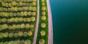 Winning Over Next-Gen Association Members with Genuine Bold Marketing