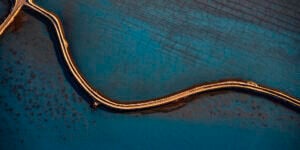 How We Help Associations Rebrand for Long-Term Success