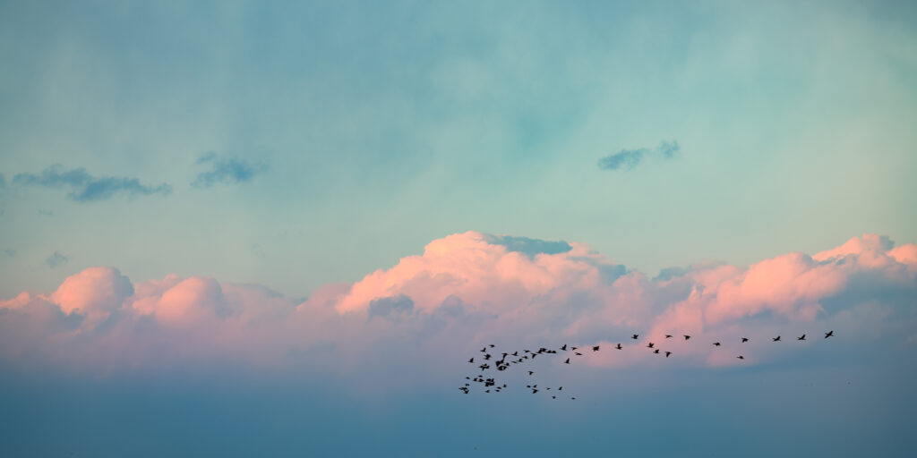 Why Your Renewables Brand Isn’t Showing Up in ChatGPT or Perplexity