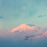 Why Your Renewables Brand Isn’t Showing Up in ChatGPT or Perplexity