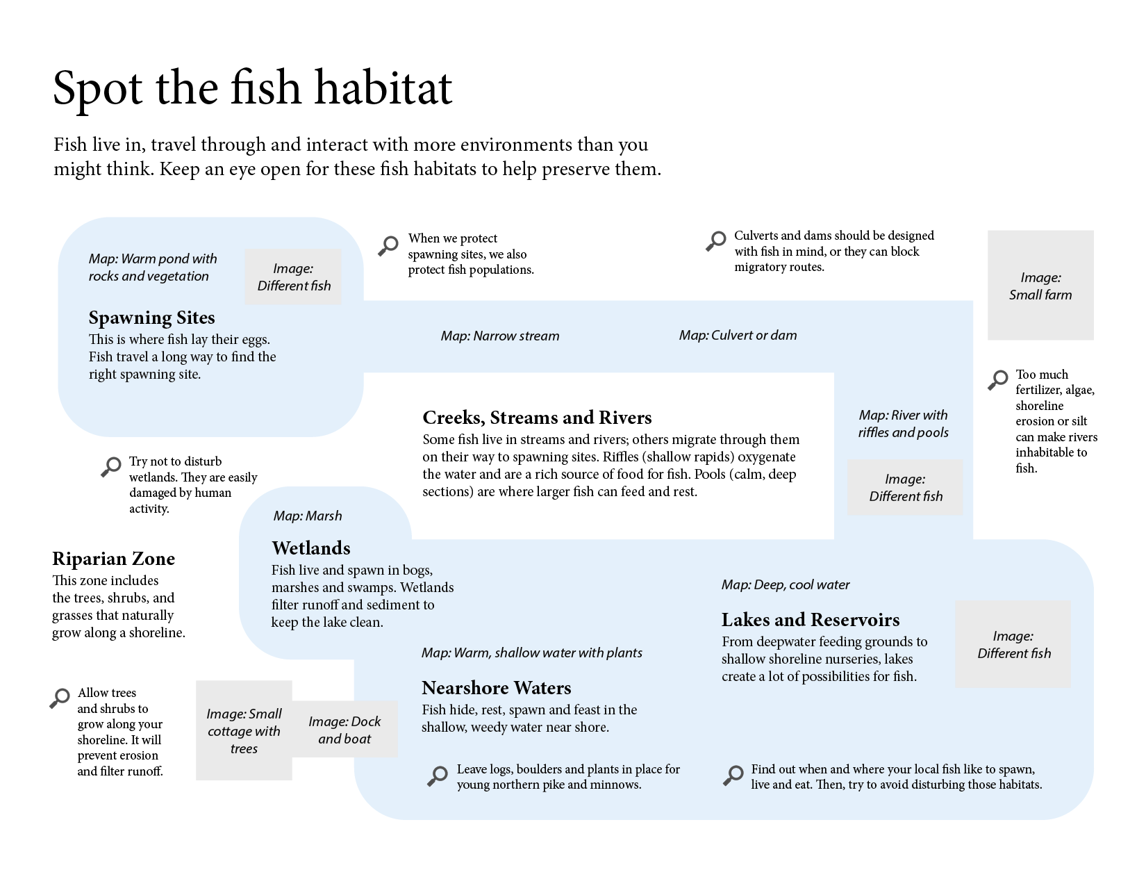 An early digital version of the infographic with basic outlines and content.