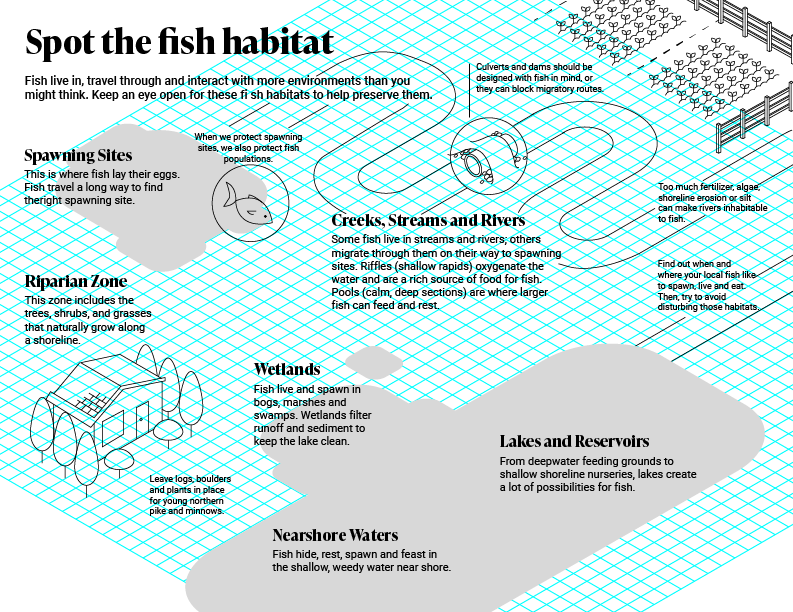 A rough digital design of an infographic.