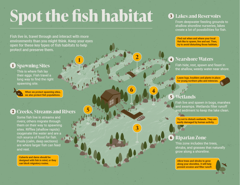 Finished Fisheries infographic displaying various fish habitats.