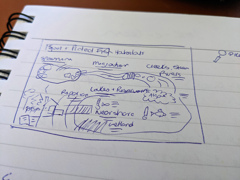 A very rough pen and paper sketch of an infographic in its early stages.