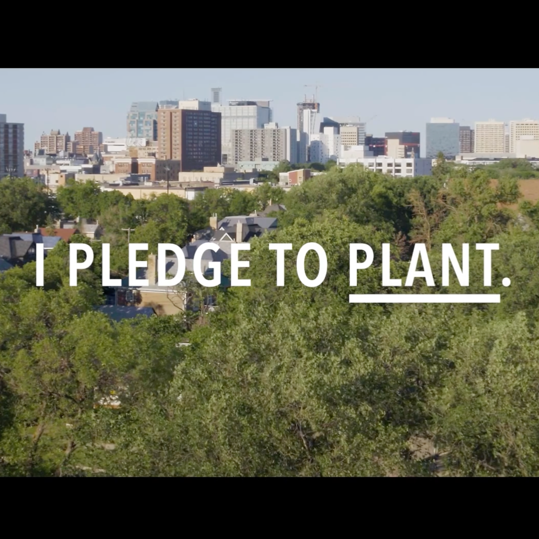 Text: "I pledge to plant." imposed over an arial shot of a tree line in Winnipeg