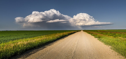 Image of a country road disappearing into the horizon with fields on either side.