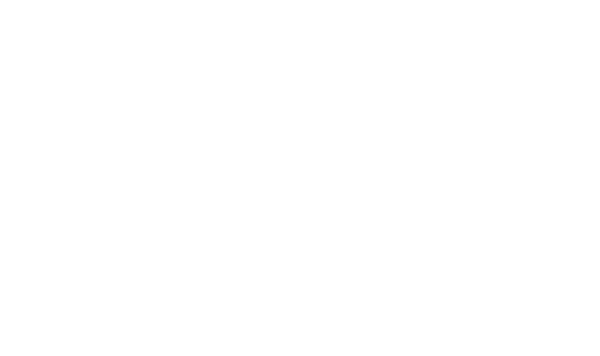 AIEO Certified Partner