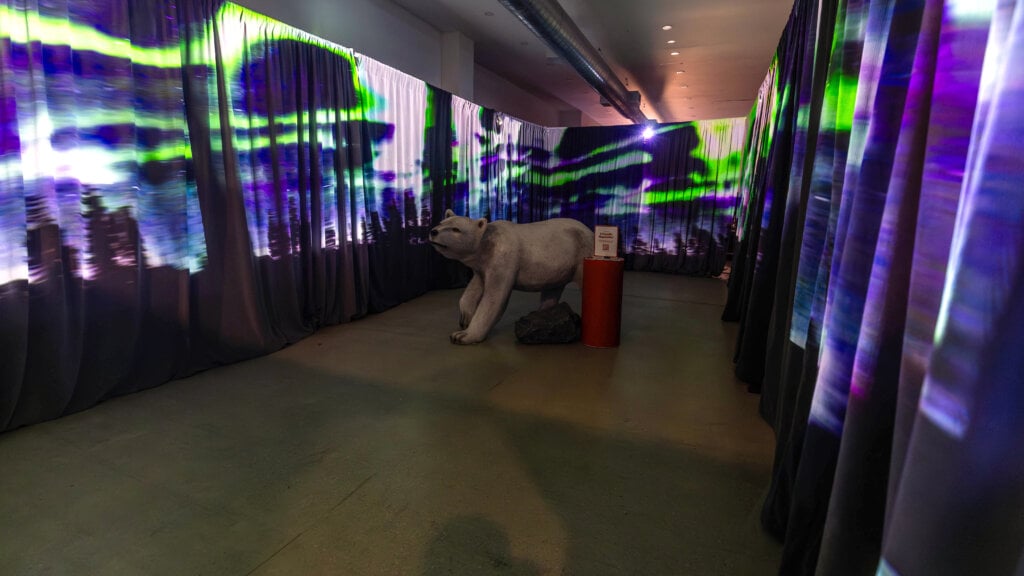Virtual Northern Lights at the Travel Manitoba activation